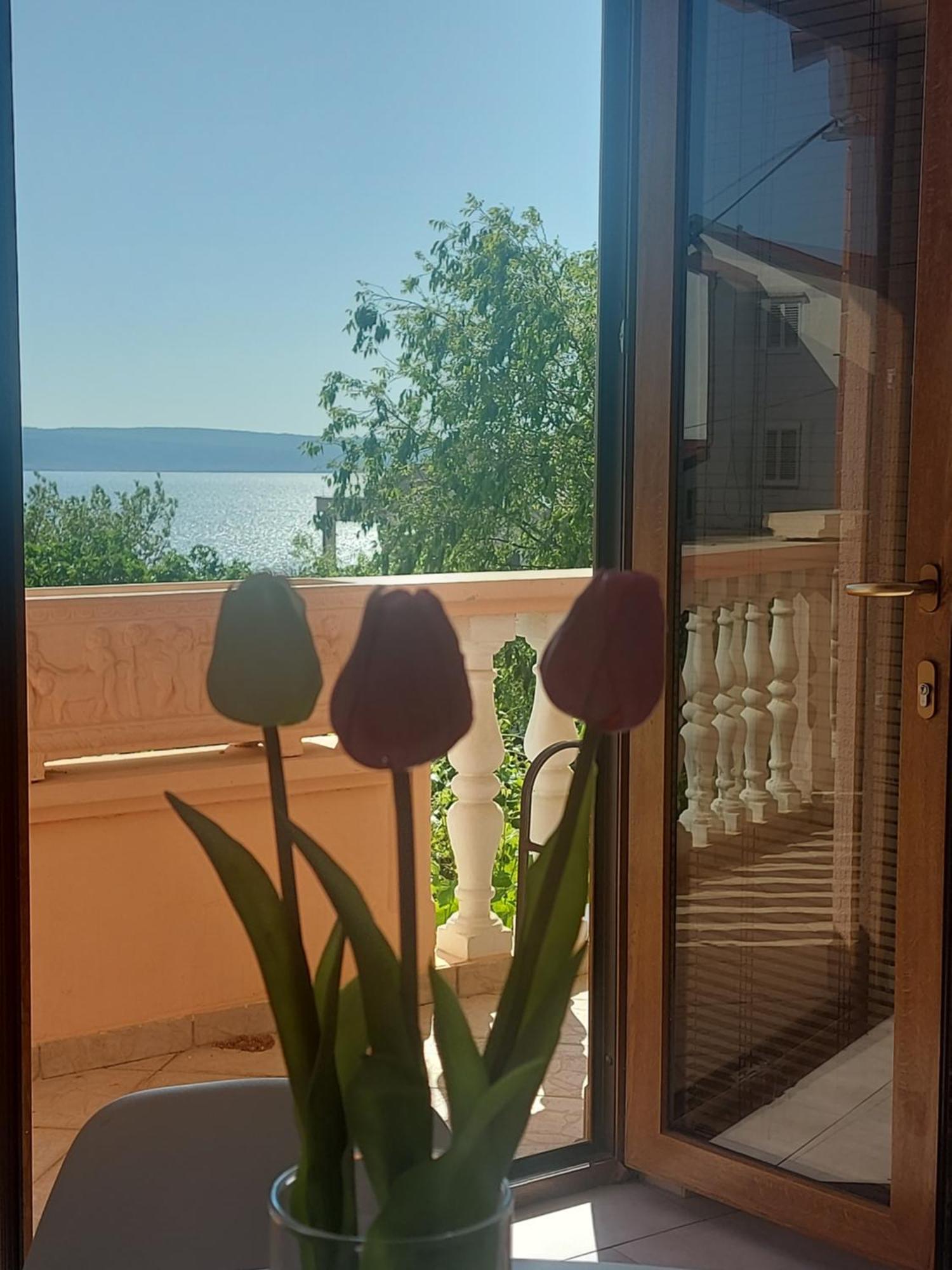 Apartment Ante And Dijana Starigrad Paklenica Ngoại thất bức ảnh